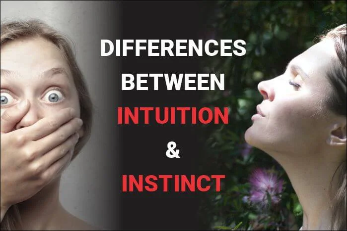 Intuition vs instinct - all the differences