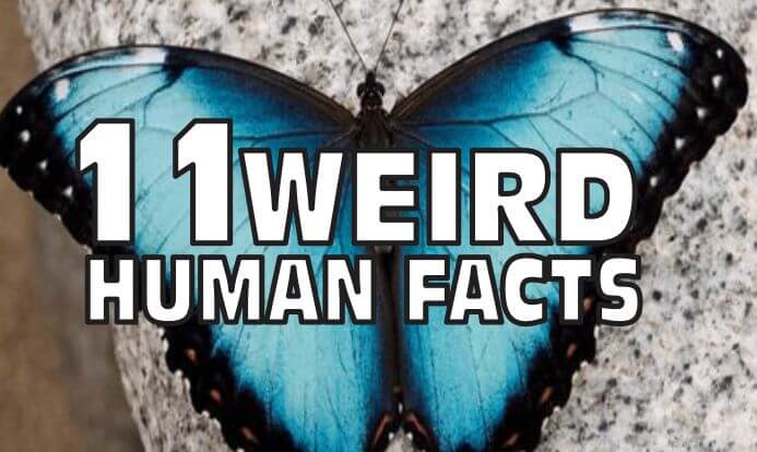 Human weird facts that will make you cringe