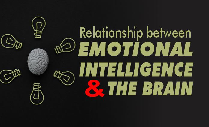 Emotional intelligence and the brain determines human emotions