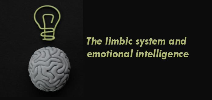 How the limbic system is sacrosanct to emotional intelligence