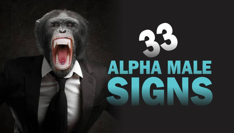 An ape in a suit to demonstrate the alpha male signs and traits