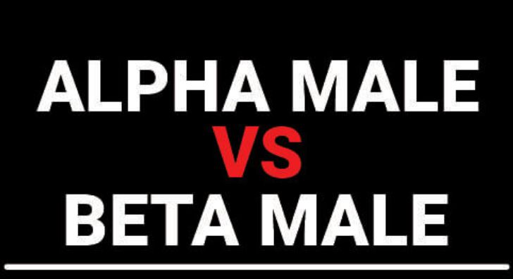 Alpha male vs beta male, the comparison of the male category