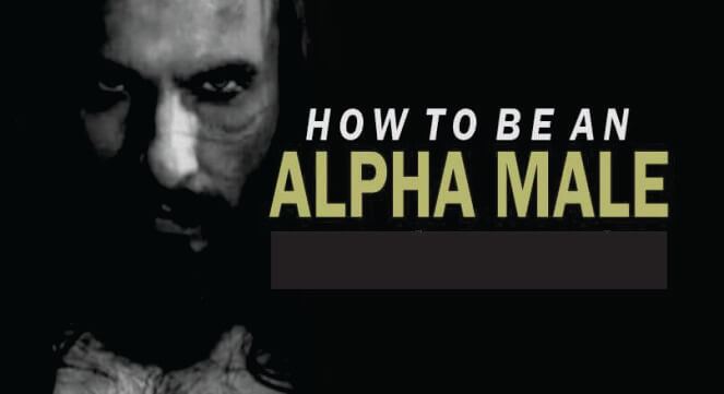 Becoming an alpha male will put you under pressure and ruin everything