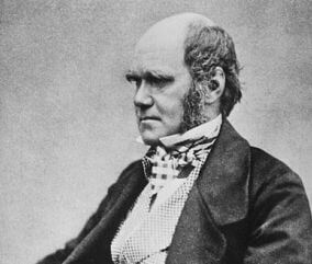 Charles Darwin, the shy and introverted scientist who can be described as a beta male