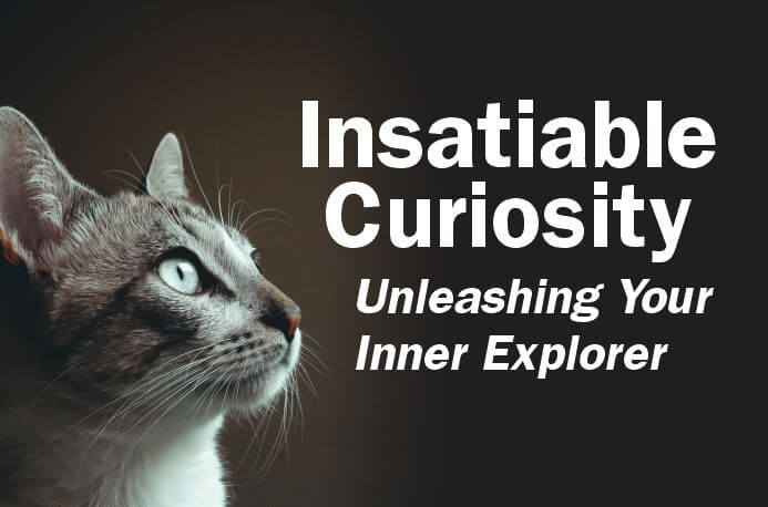 Insatiable curiosity is the driver of passion