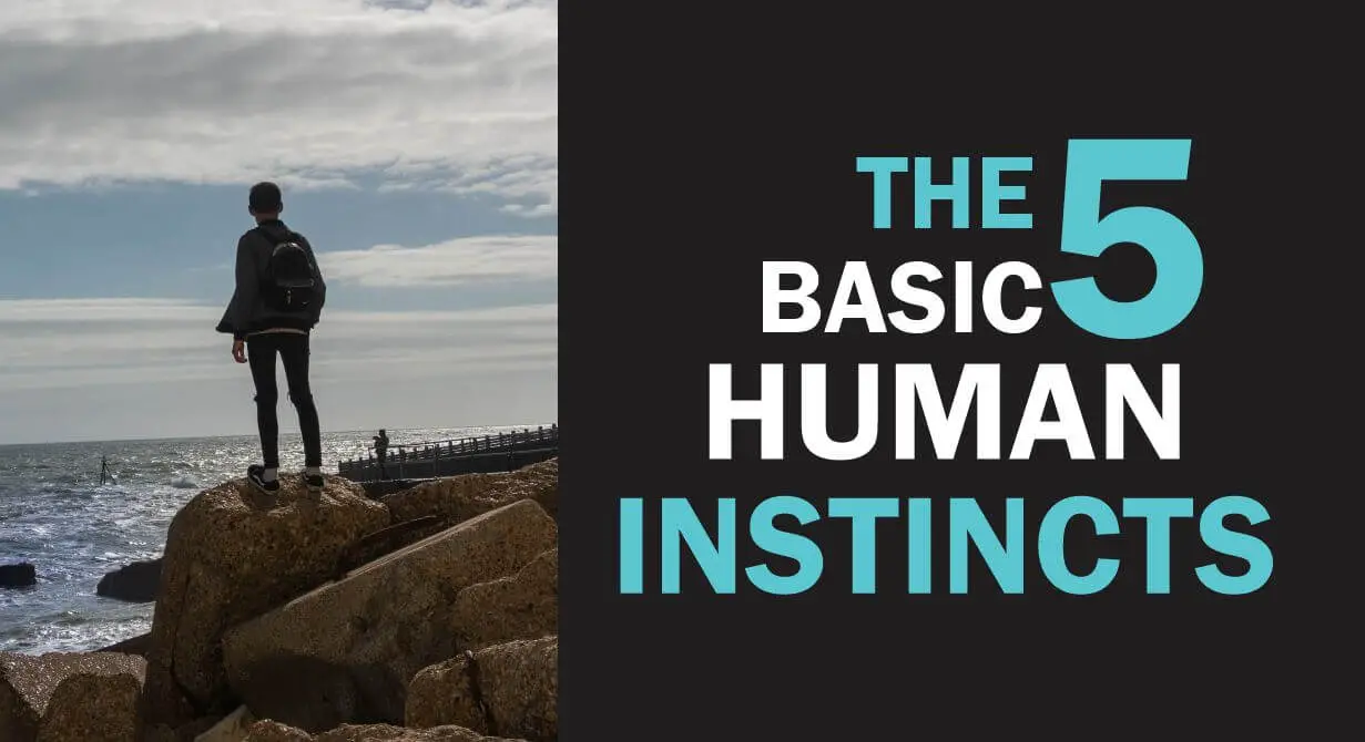 Answering the question: What are the 5 basic human instincts?