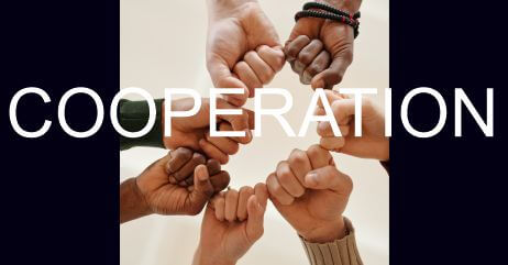 Cooperation as one of the traits of a collectivist culture