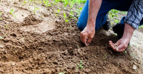 A man establishing the foundation for personal growth- planting the seeds