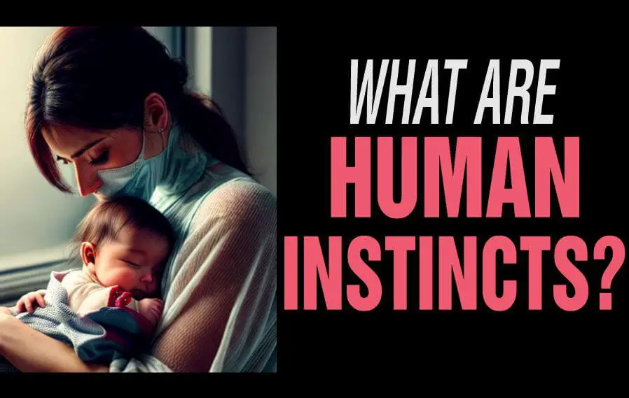 Human instincts - a mother caring for her infant