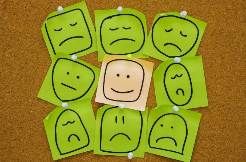 What Are Emotions? A Guide to the Power, Purpose, and Nature of Feelings 15 Emotions shaping purpose and identity
